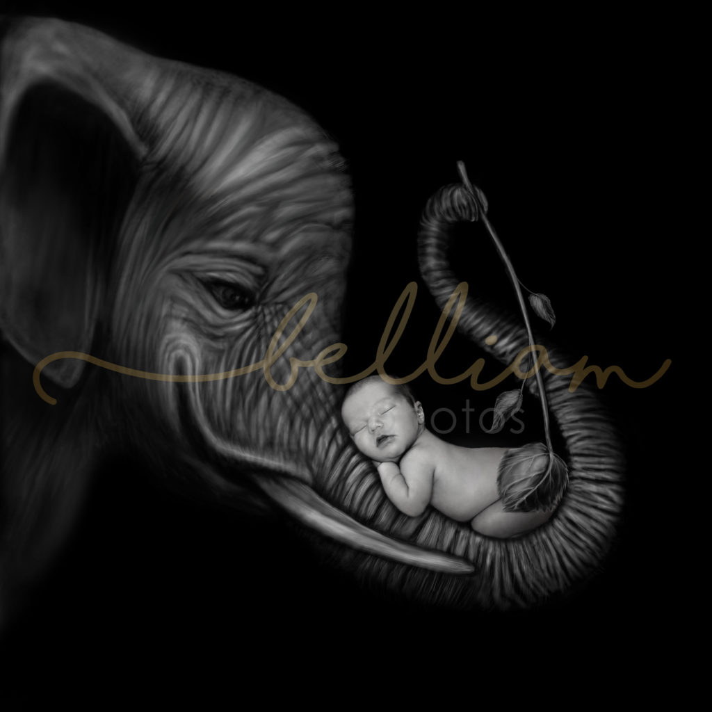 alt="newborn baby girl on an elephant"